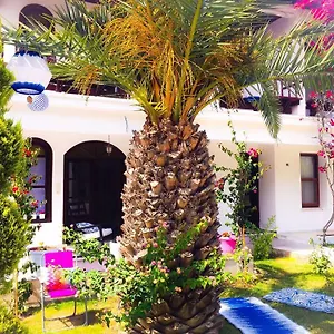 Otel Kiraz Cicegi Butik Akyaka
